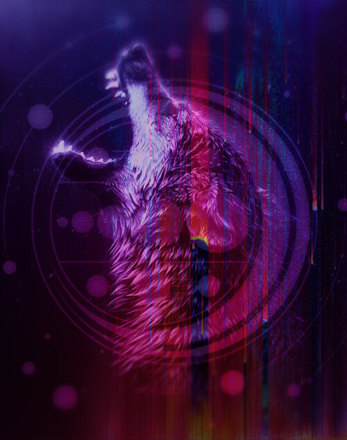 File-2019-10-012.jpg