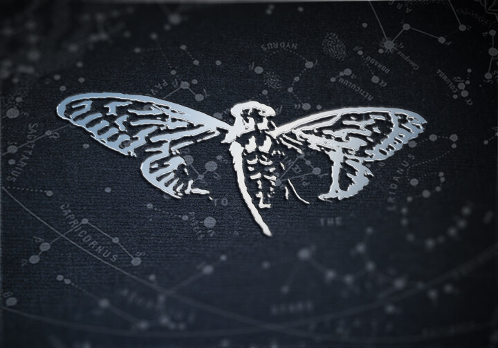 File-2019-08-3028.jpg