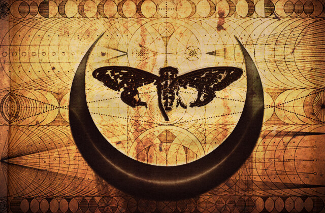 File-2019-07-0310