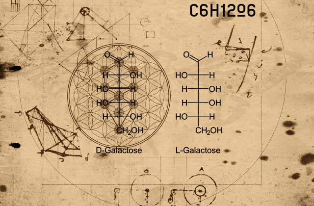 File-2019-07-039