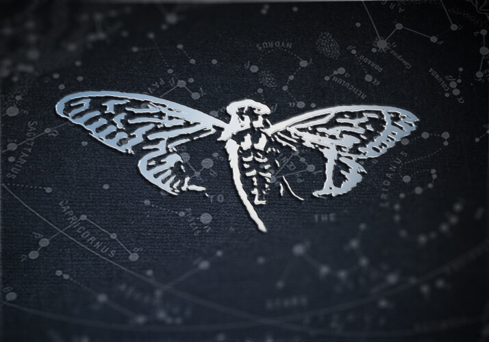 File-2019-08-3028.jpg