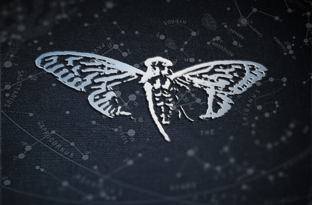 File-2019-08-3028